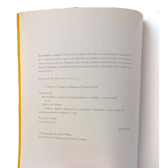 Baby Buddhas: A Guide for Teaching Meditation to Children - Picture 4 of 4